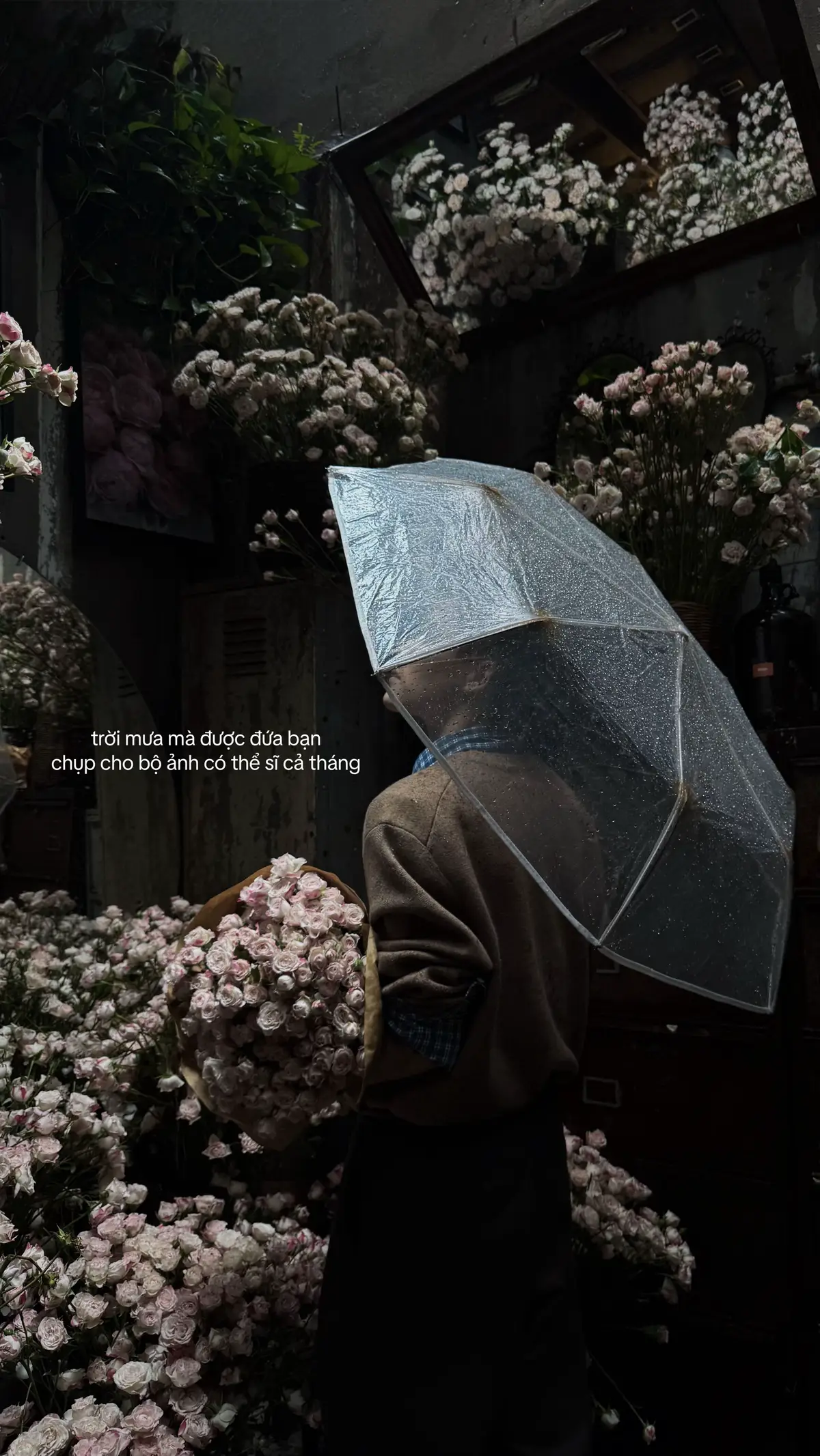 Chụp được bộ ảnh ngày mưa tại vườn hồng mà sĩ cả tháng, Nhâm Cafe  #xuhuong #chupanh #caphechupanh #cafesaigon #mhrtsaigon 