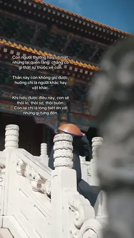 Chẳng có gì thật sự thuộc về bạn.. #phatphap #phatphapnhiemmau #tientutap #phatphapvadoisong #fyp 