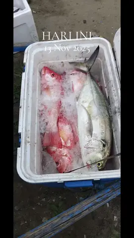 #padahariini #mancingmania #pelabuhanratu_sukabumi 