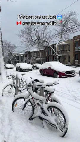 #CapCut #fyp #montreal #الغربة_صعيبة_وانا_بغيتها🇩🇿🇩🇿🇶🇦🇶🇦 #الشعب_الصيني_ماله_حل😂😂 