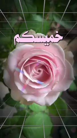 #خميسكم_فله_وسعآده_يآرب🌺🌺 