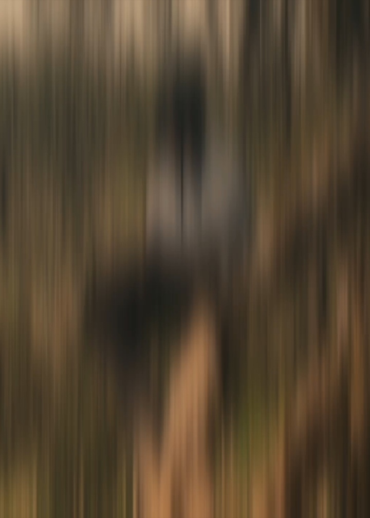 #Biscoitocut #FunkNoCapCut #Funk #CapCut 