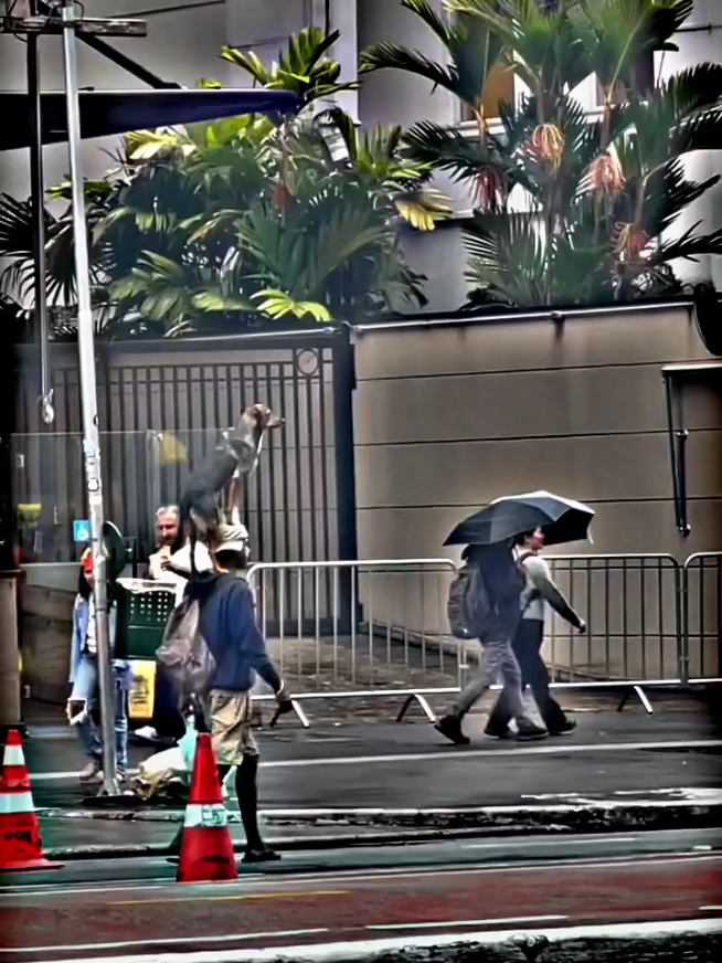 #foryoupage #trendingvideo #1million #views #fypシ゚viral 