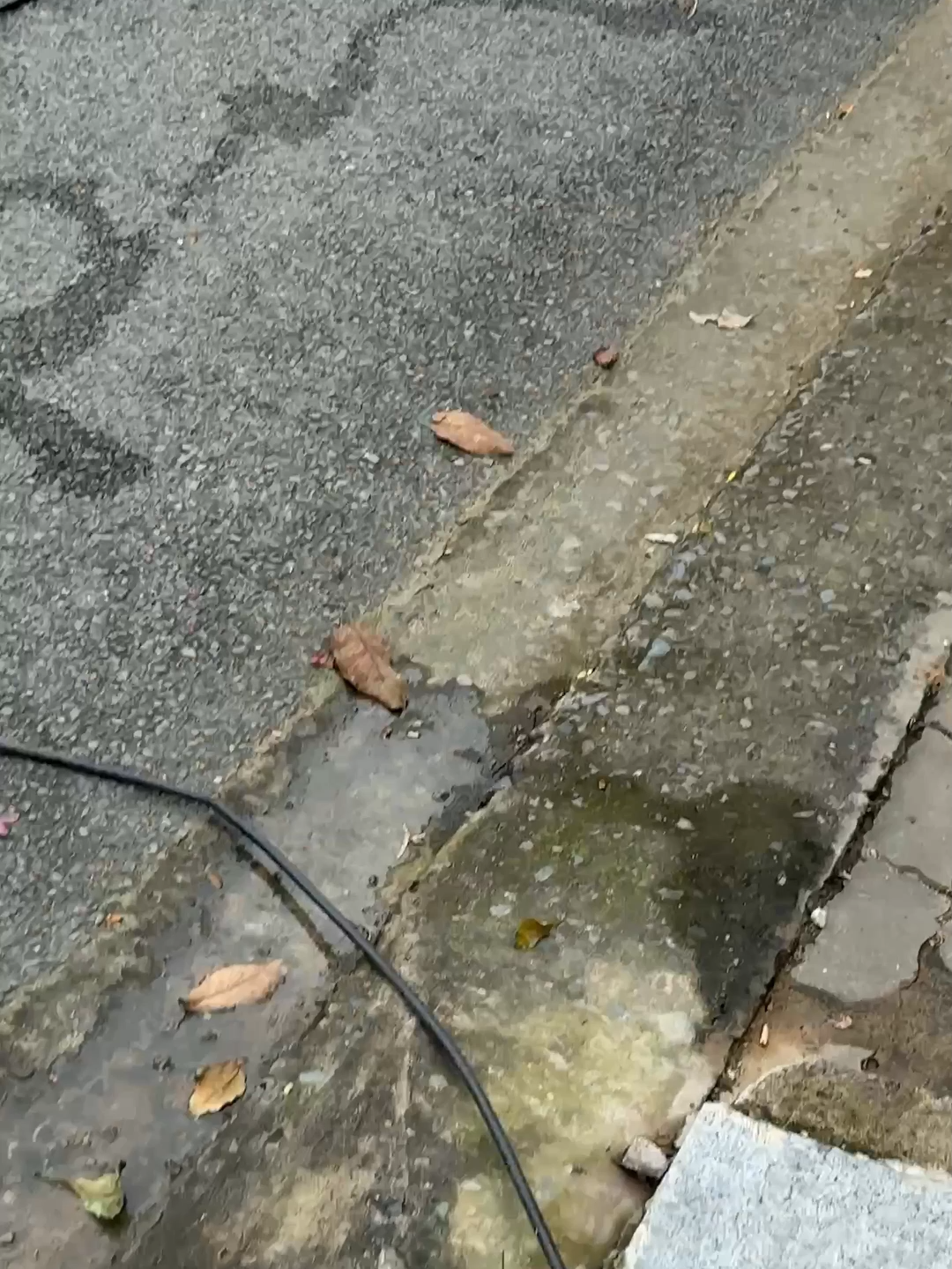 Legend says hes still out there watering 😳