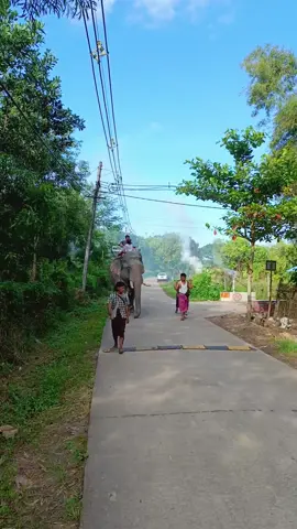 #အောင်ချမ်းသာဆင်တော်မဂ်လာ 