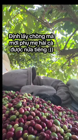 Cũng khó nói 🥲