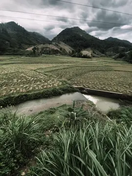 “看着日落我又想起了她。对岸的女孩还会记得我吗?