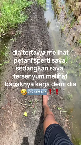 😜🆗🆙🆙❗️#story #katakata #petanimuda #wijapaggalung🌾 #bugispride🏝️🔥 