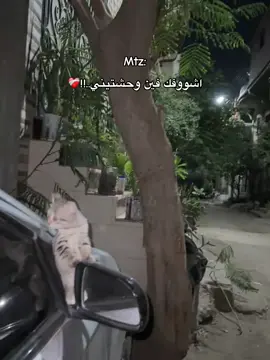 #الشعب_الصيني_ماله_حل😂😂 #اكسبلورexplore #مشاهدات #ريبوست #مجهول 