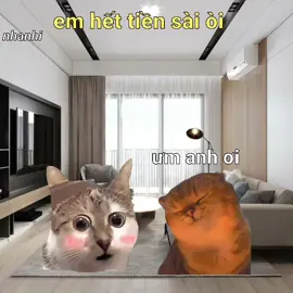 em hết tiền sài òi #catmeme #meme #xh 