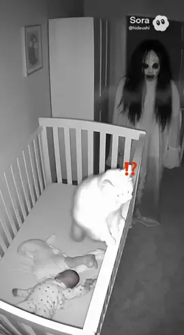 Do you think ghost was afraid of this cat?🧐 #cat #horror #ghostface #babytiktok  @animal_ai_go 