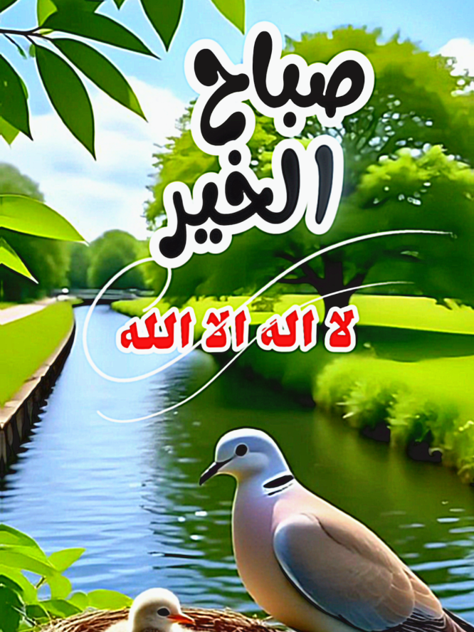 #صباح_الخير_والسعادة #فيرال_فيديوفوريو #❤️❤️❤️❤️❤️❤️ 