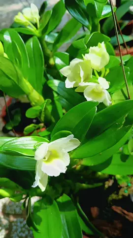 Tắm nắng cho em🤣🥰