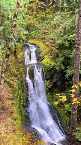 You’re welcome #pnw #Hiking #inspiration #kentuckyfalls #funny 