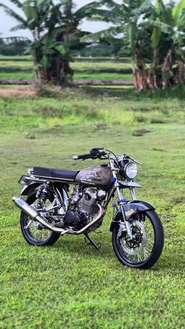 🐗 #cb100 #cb125se #icikiwir #foryou #fyp 