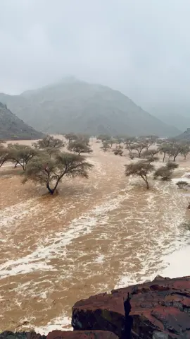 #الاستسقاء🌧🌧🌧🌩⛈ #اللهم_اغثنا_ولا_تجعلنا_من_القانطين #أمطار #صباحكم_أحلى_صباح 