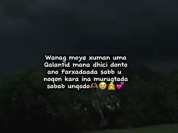 jaceyl 🫶🏽👸 #viewsproblem😭 #foryoupage #foryoupage❤️❤️ #fyp #foryou 