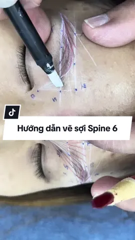 Hướng dẫn chi tiết vẽ sợi Spine 6 trên mẫu #sợihairstrokes #hocsoihairstroke #huynhphunxam #hocphunxamthammy #hocphunxamchonguoimoi 