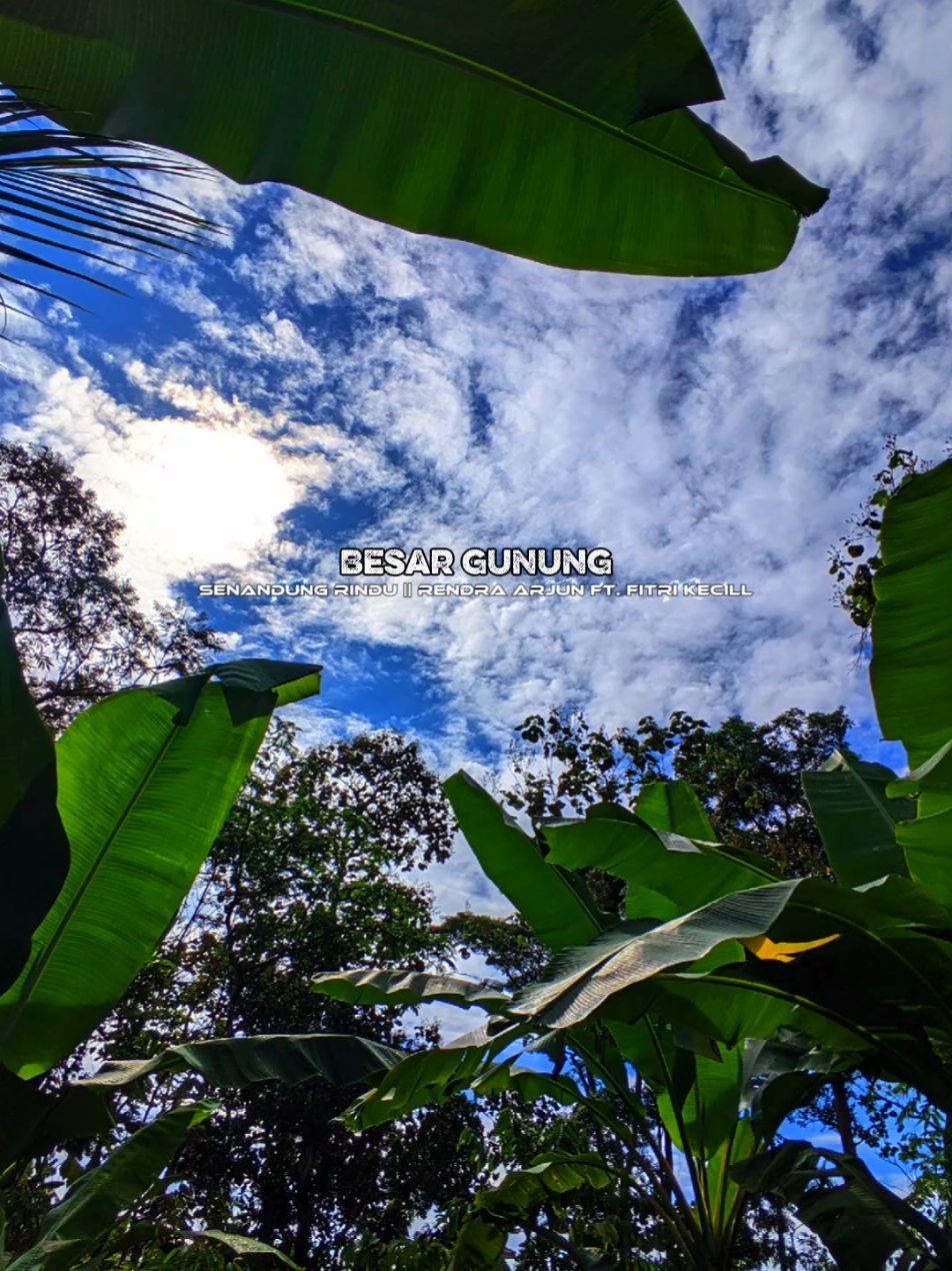 #SENANDUNG RINDU #liriklagu #dangdut #fyp #viral 