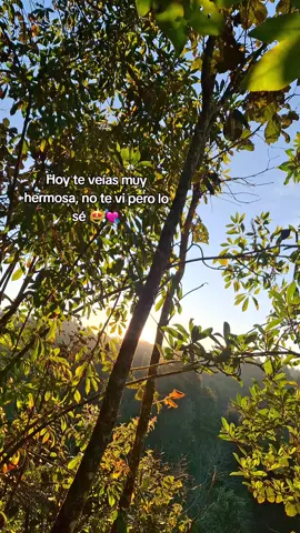 lo sé💘💘💘. #foryoupage❤️❤️ #fory #paratii #amor❤️ #paratunovia 