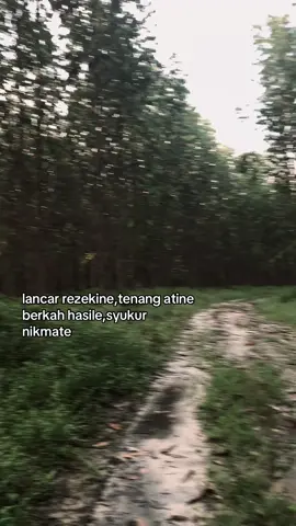 #xyzbca #fyp #quotes #moots? #masukberanda 