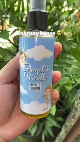 Sobrang bango nito, perfect para sa mga anak ninyo #angelsbreathcologne #fyp 