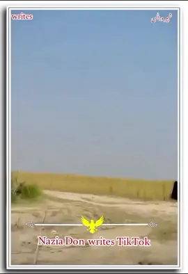 shero shayari shabir shah#bsjdbben 