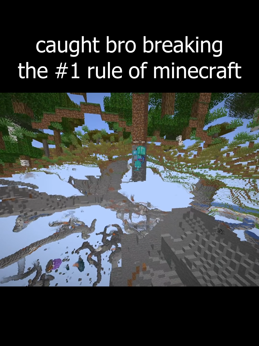 caught bro breaking the number one rule of minecraft #Minecraft #minecraftmemes