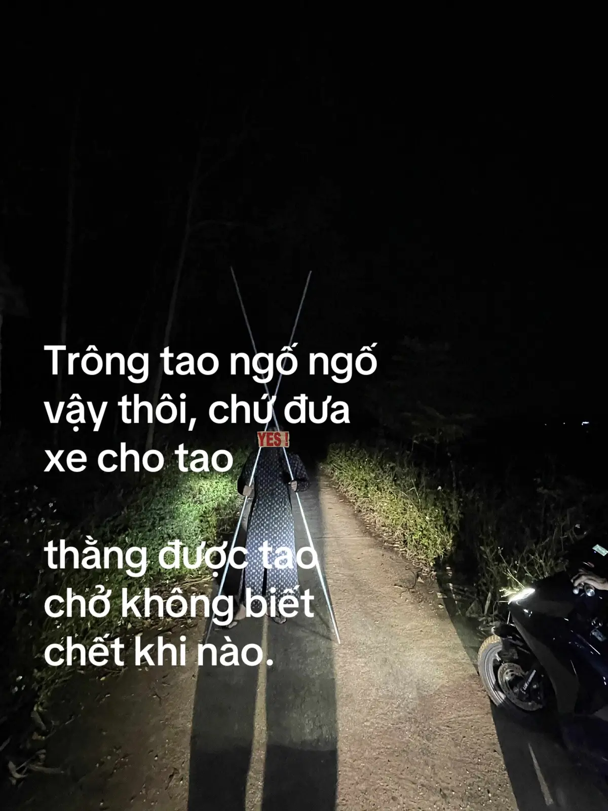 #xuhuongtiktok #no1songlo #vairal 