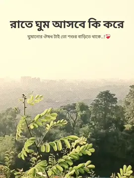রাতে ঘুম আসবে কি করে ঘুমানোর ঔষধ টাই তো শশুর বাড়িতে থাকে..!❤️‍🩹 #fyppppppppppppppppppppppp #fyp #foryoupage #viralvideo #capcut 