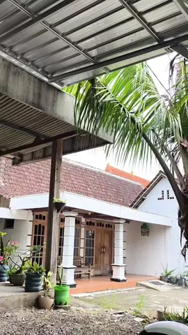 ishoma sek#rxkingbleyer #yamaharxking #fypppppppppppppp #rxkingputih #masukberandafyp 