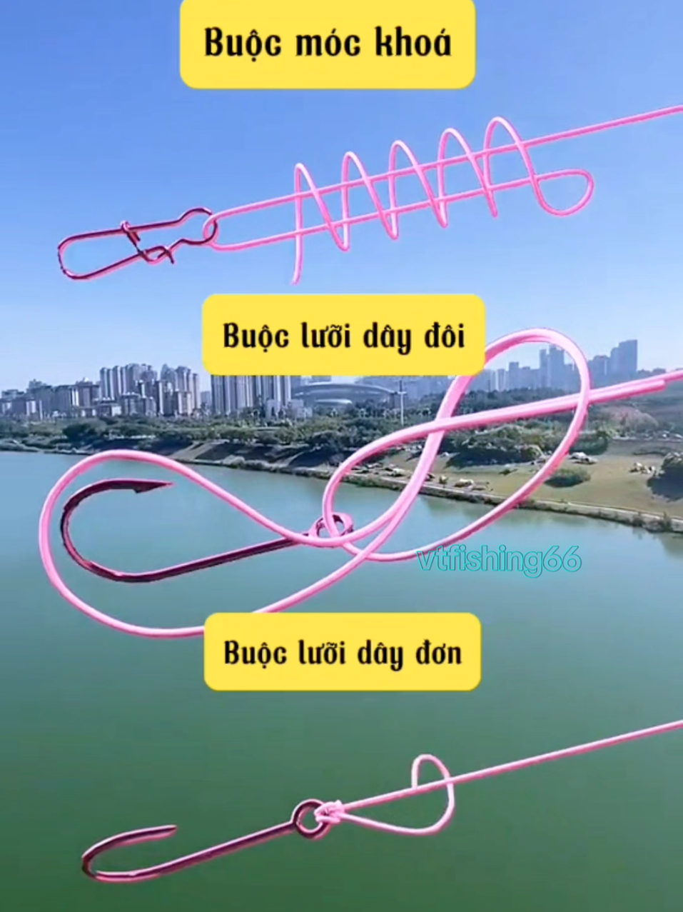 nút thắt câu cá #xuhuong #cauca #fishing #câucá #caucagiaitri 