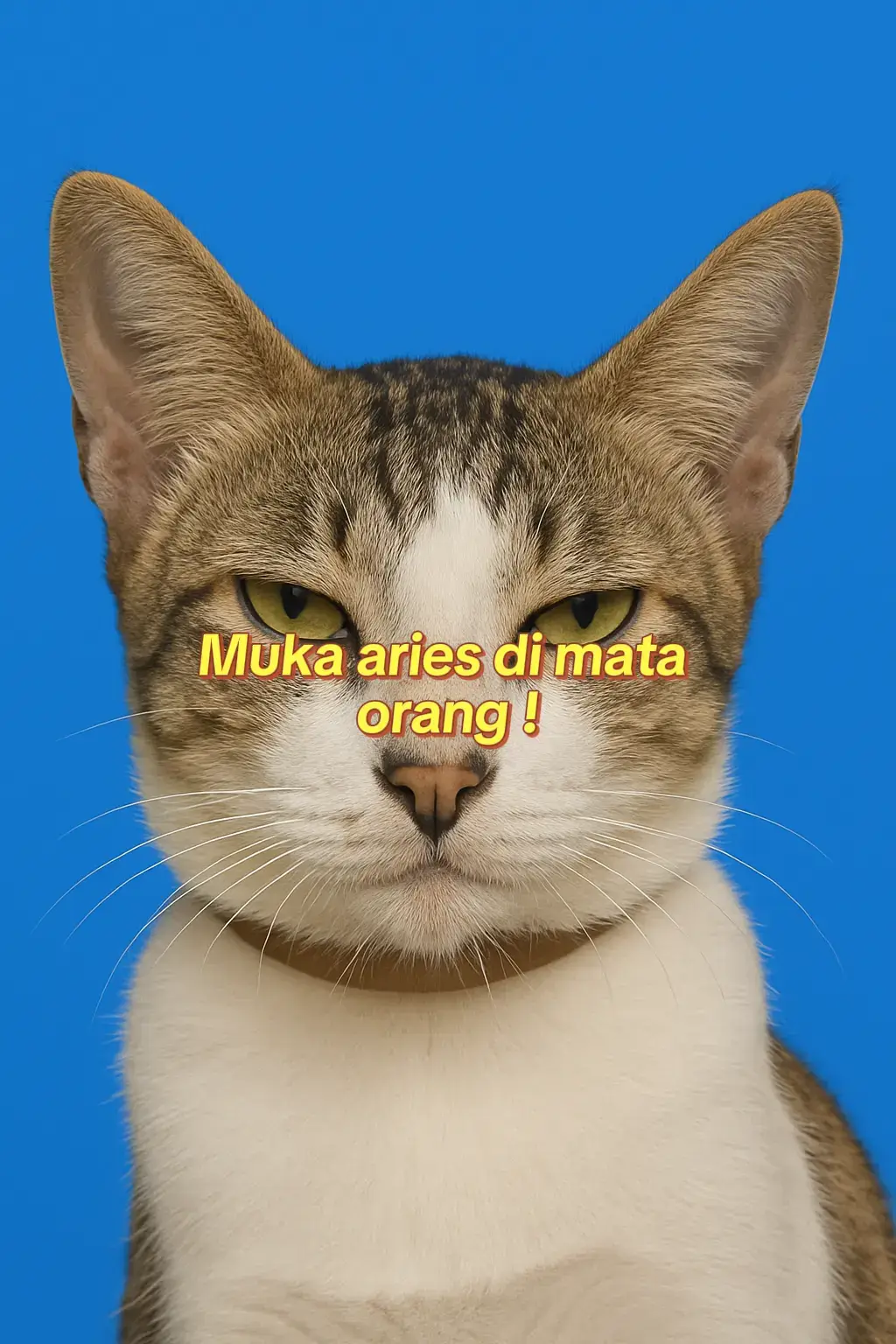 aries selalu di bilang judes,padahal engga kan? engga salah 🤣 #fy #fyppppppppppppppppppppppp #fyppppppppppppppppppppppppp #aries #zodiacsigns 