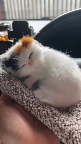 Boneka anak kucing tidur