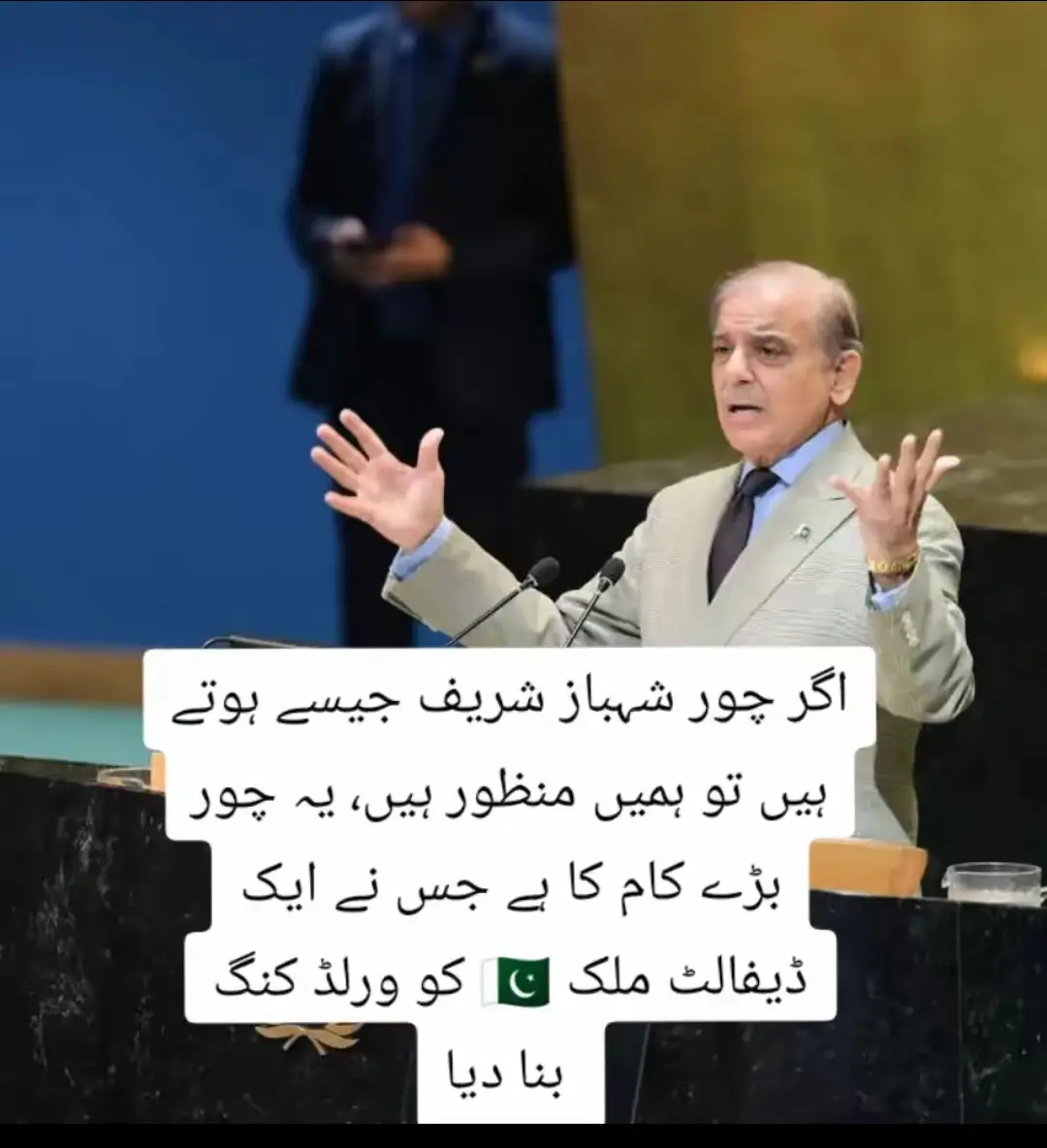 اگر چور شہباز شریف جیسے ہوتے ہیں تو ہمیں منظور ہیں، یہ چور بڑے کام کا ہے جس نے ایک ڈیفالٹ ملک کو ورلڈ کنگ بنا دیا