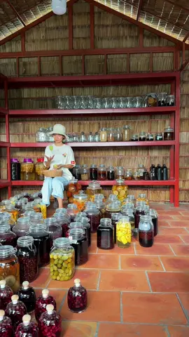 Bộ sưu tập trái cây ngâm của em nè #NganCanTho #bophoveque #trending #xuhuong 