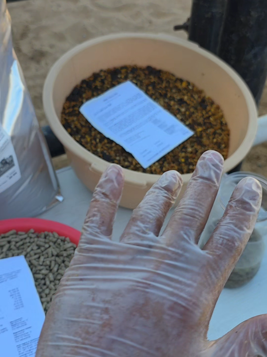 HBA HORSE FEED  خلطات اتش بي ايه  الحاضر والمستقبل لن اقول الافضل جربوها ولكم حرية التعبير والراي. لخيول القدره بشكل خاص والطاقه النظيفه 