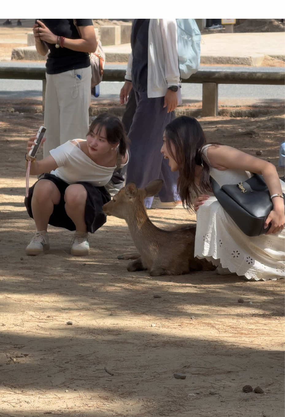 日本で一番美しい公園🦌 奈良公園の鹿と観光客の幸せな時間🍘 | NARA PARK