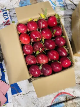 صلي علي الحبيب #♥️✨