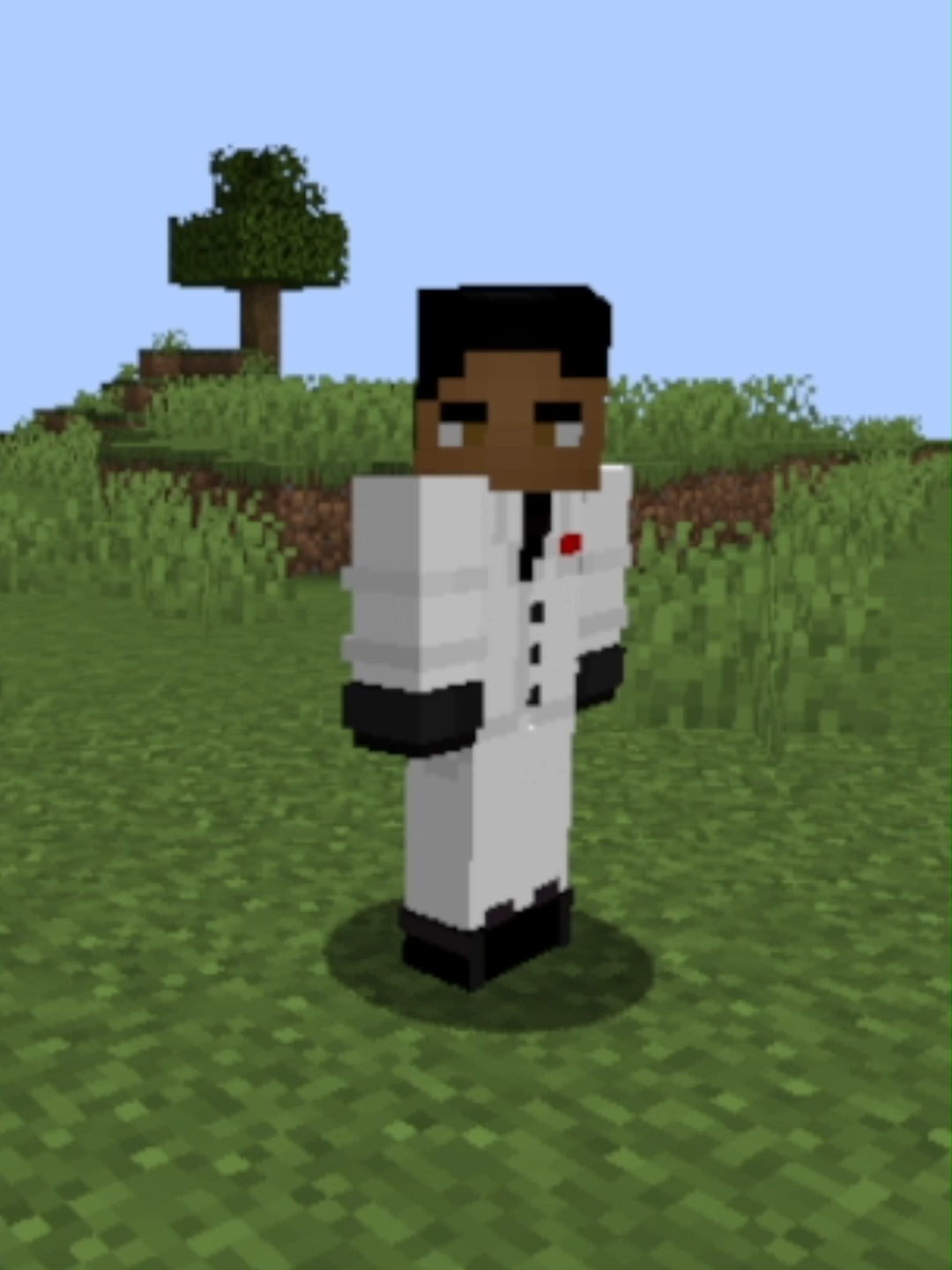 Salvamos a Temu en Minecraft