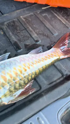 နောက်ဆုံးမှာတော့ 