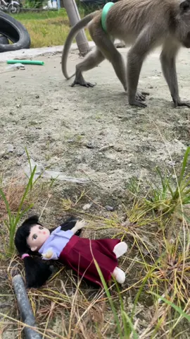 markonah dikejar monyet tetangga#barbiemarkonah #komedi#lucu#fyp#miniature 