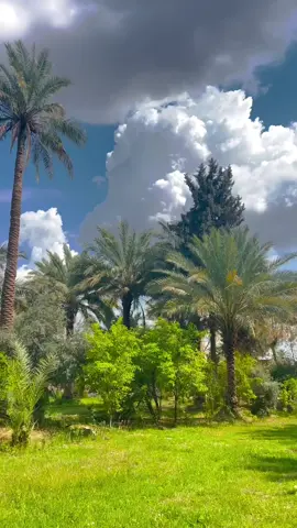 #இன்னிசைமழை #இன்னிசைப்பாடல்கள்🎶 #❤❤❤❤❤❤❤❤❤❤❤❤❤ #🌹🌹🌹🌹🌹🌹🌹🌹🌹🌹🌹🌹 