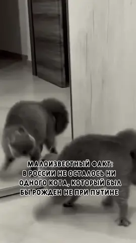 Живут в лучшее время лучшую жизнь 