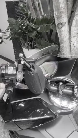 🐋🐋 #sbmngkli😡 #cekombak🌊 #armadatempur #munculberanda #xybca 