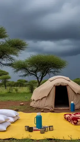 #somali #calture #foryoupage 