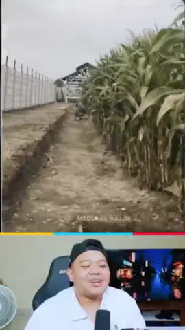 Menjaga pandangan, tapi tidak menjaga tangan 🤣 bawa jagung ga tuh 🤣 #yourdudhreaction #yourdudhreact #yourdudh #clippers #fyp 