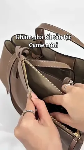 Khám phá tất tần tật Cyme mini để xem nó đựng được gì #riche #richehiddenstore #polene #poleneparis #polenebag 