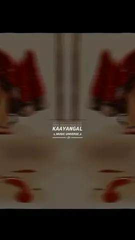 #CapCut #✨🦋_🎶💙💫 