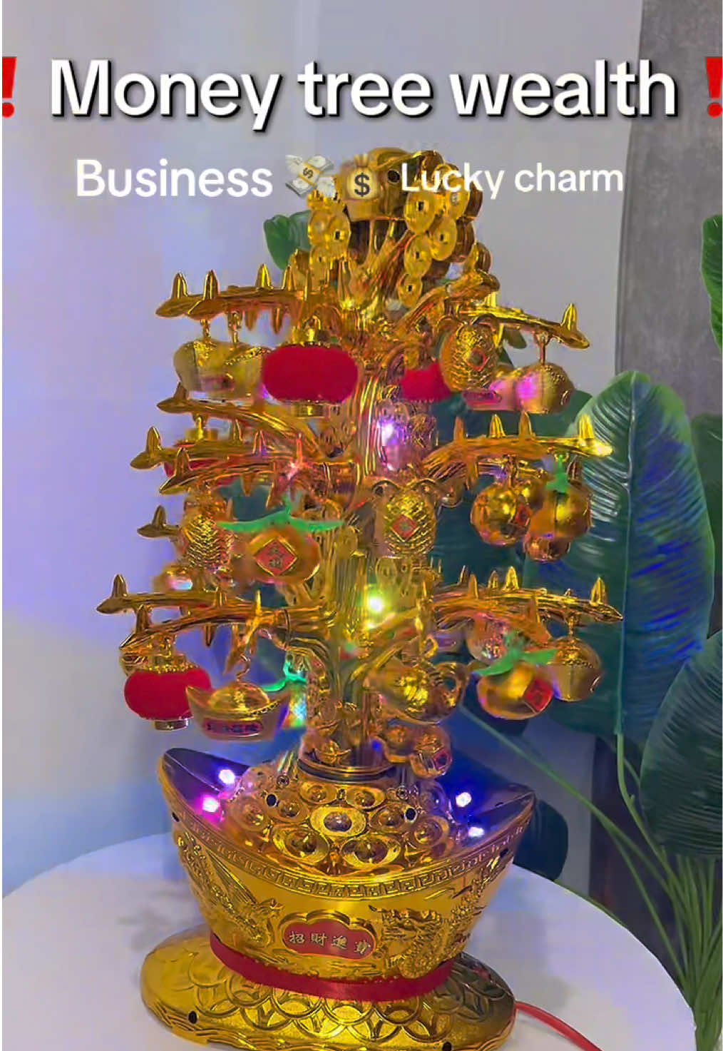 Fengshui Money Tree Wealth Tree 🤑🤑🤑🤑 #fengshui #moneytree #luckycharm #fypviralシ 